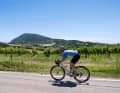 Monte Conero is the highlight of our Tour 1, which otherwise follows a rather flat coastline