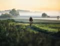 De plus en plus de vélos tout-terrain arrivent sur le marché