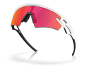 Oakleay Sphaera Slash