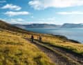 Fantastically beautiful and tough as nails - Iceland by gravel bike