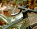 The frame has attachment loops for bags