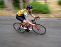 Ritchey Road Logic Tom Ritchey Signature Edition