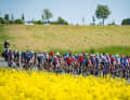 Varied landscapes and a few metres in altitude await.