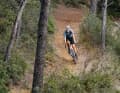 Schwalbe présente quatre nouveaux pneus Gravel. La collection G-One devrait se distinguer des modèles Pro bien connus, notamment en termes de prix.
