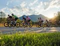 In the early morning dew ... The peloton marches towards the mountains.