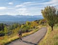 Montagnes silencieuses : pour quitter la vallée de l'Ardèche, il faut grimper, par exemple sur le plateau du Coiron (tour 2). Récompense : la vue sur les Cévennes