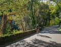 Green roof: away from the plateaus, many a narrow road is shaded by a canopy of leaves
