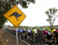 The most important races on the 2023 cycling calendar: 17 Jan - 22 Jan Tour Down Under