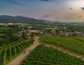 Short climbs lead through the vineyards of the Markgräflerland. If you want to climb for longer, you will find what you are looking for in the Black Forest to the east