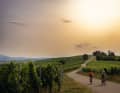 Narrow, winding roads, short, crisp climbs: the vine-covered hills of the Markgräflerland are a challenging area for racing bikes