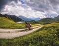 Die Schweiz ist mit ihren vielen spektakulären Strecken durchs Hochgebirge wie hier im Viamala in Graubünden­ ein Top-Revier für Touren mit dem Allround-Bike.