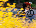 With the new Caledonia-5, Cervélo is sending a sporty all-road bike into the race.