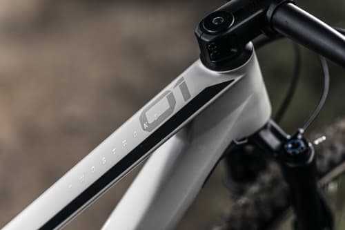   Twostroke heißt der Nachfolger für 2021 für das Teamelite von BMC.