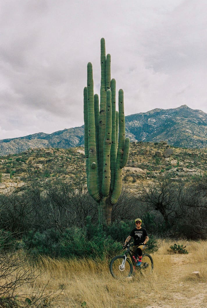 Grote groene cactus: Onze verslaggever ziet eruit als een dwerg tegen dit prachtige exemplaar, dat in de lucht vlak naast het pad groeit.