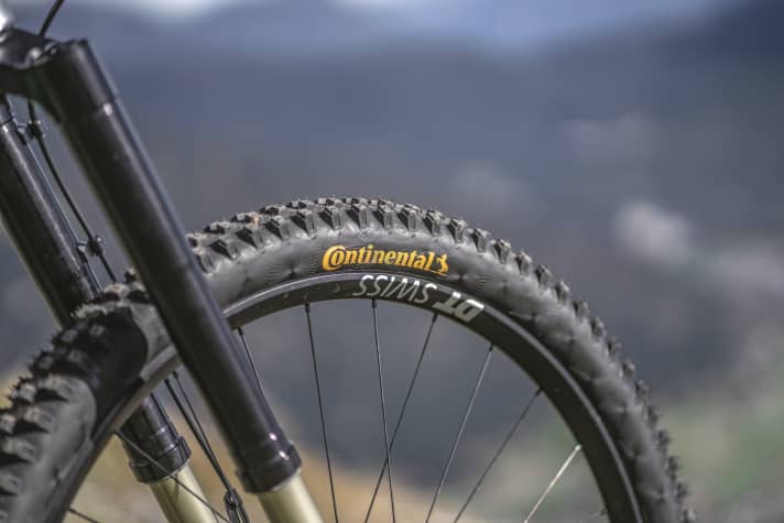 Continental ist der einzige Hersteller von Fahrradreifen in Deutschland. DT Swiss entwickelt in der Schweiz und produziert in Polen.