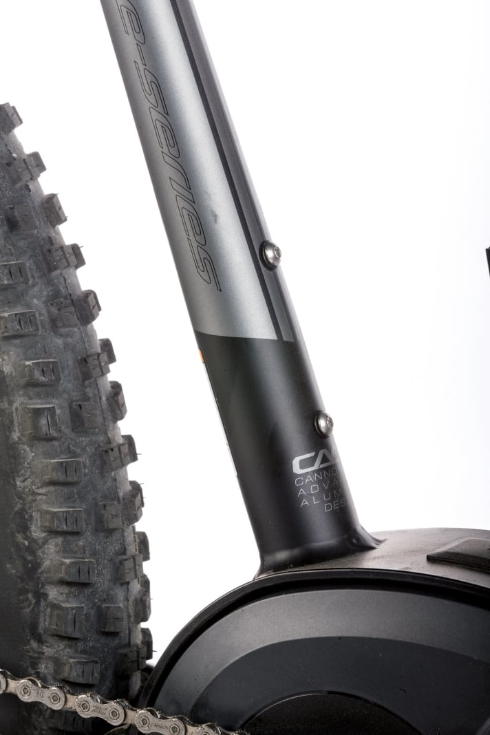   Die Möglichkeit, eine Trinkflasche in den Rahmen zu hängen, ist nicht an allen Bikes gegeben. Im Cannondale sind die Gewinde für die Halterung im Sitzrohr vorhanden.