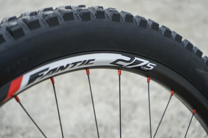   Moto-Style: Hinten verbauen die Italiener einen breiten Plus-Reifen für viel Traktion, vorne sorgt ein 29er für die Lenkpräzision.