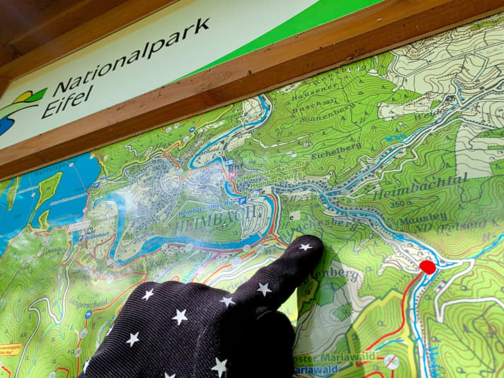   Das erste Stück der Etappe schlängelte sich durch den <a href="https://www.facebook.com/Nationalpark.Eifel/" target="_blank" rel="noopener noreferrer nofollow">Nationalpark Eifel</a> . Frisch war's in der Früh noch.