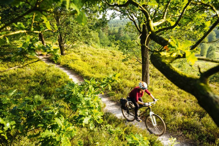   Die einsame Weite liegt so nah: Die Lüneburger   Heide überrascht die junge Bike-Familie aus Polen   mit feinem Trail-Terrain. 