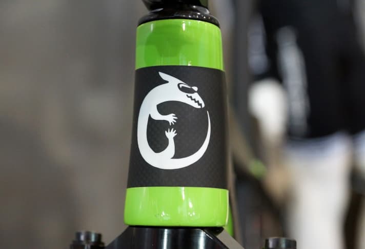  Konisches Steuerrohr mit Drachen in Embryonalstellung.
