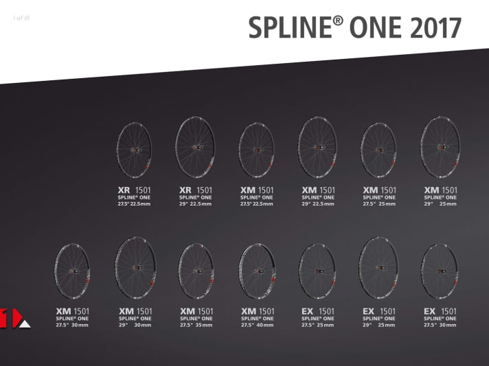   Alle 13 Laufradmodelle der Spline One-Serie von DT Swiss im Überblick.