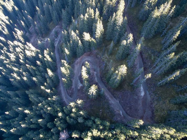   Der Flow-Trail "Hot Shots fired by GoPro" im Bikepark Leogang schlängelt sich ohne starkes Gefälle ins Tal.