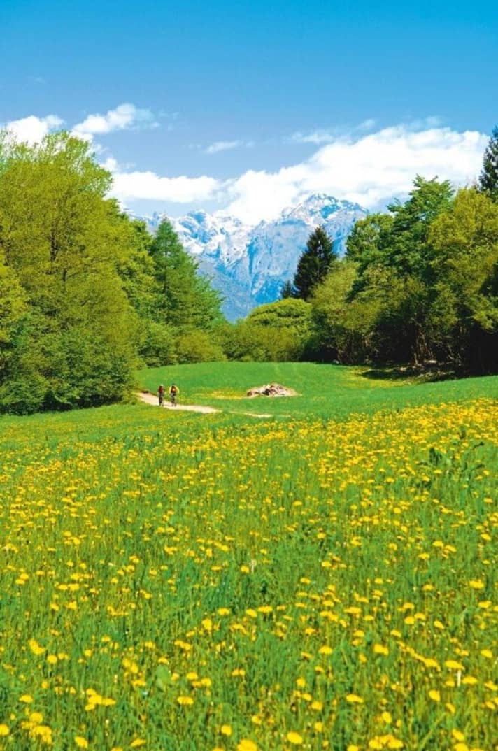   Um den Monte Misone