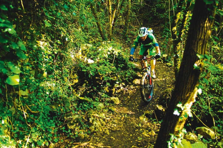   Traum-Tour mit teils flüssigem, teils anspruchsvollem Naranch Trail für Fahrtechniker und Freerider.