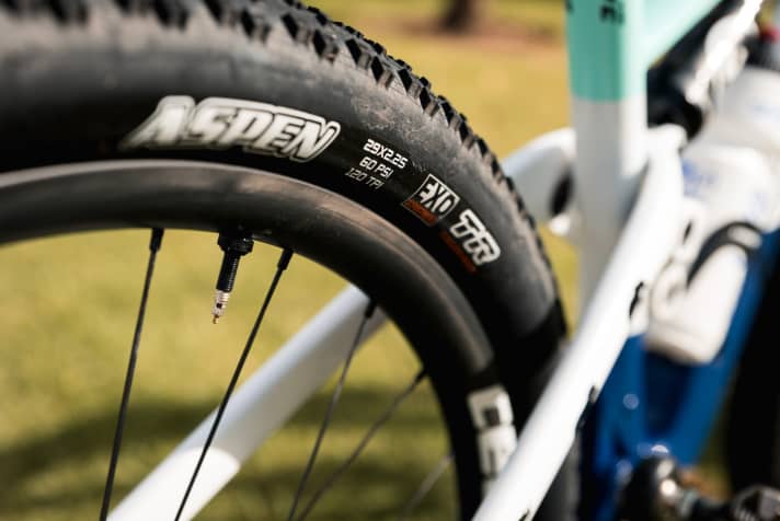   Gegen Dornen geschützt: Bauer greift zum Maxxis Aspen 3C mit EXO-Pannenschutz.