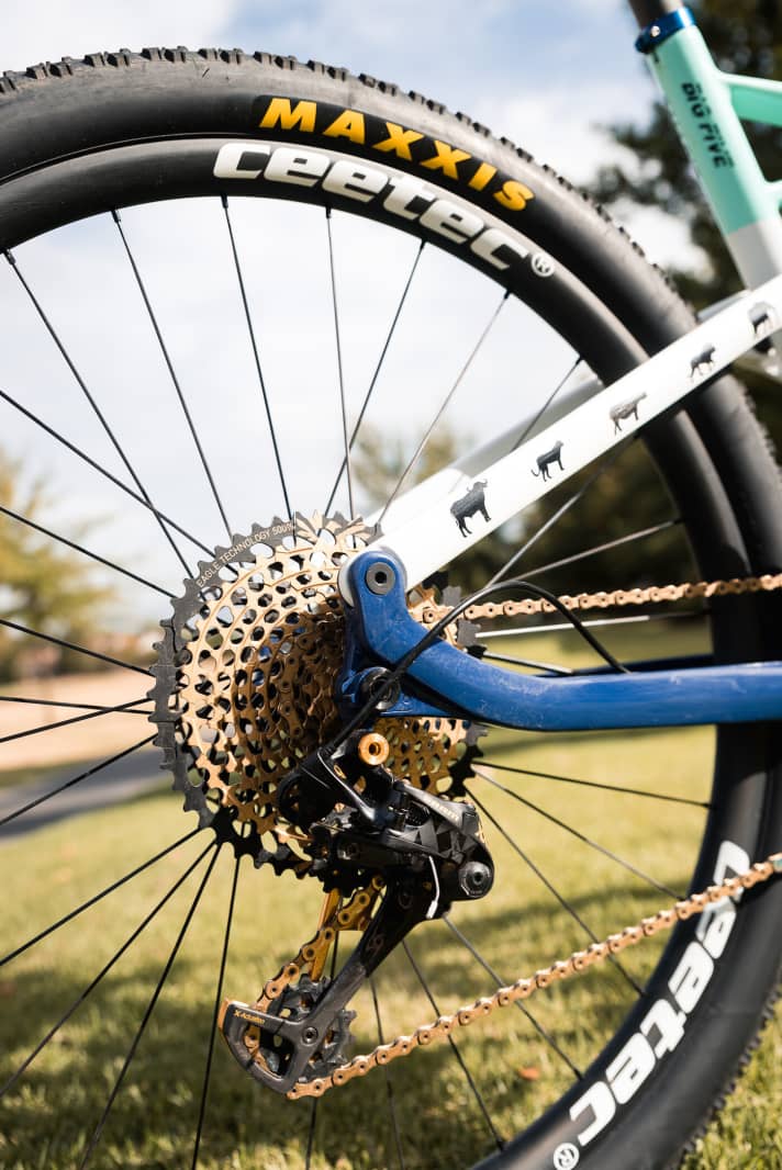   Ein Highlight am Bike: Die breiten und leichten Felgen mit 27 Millimeter Innenbreite von Ceetec mit DT Swiss 240 S Straightpull Naben.