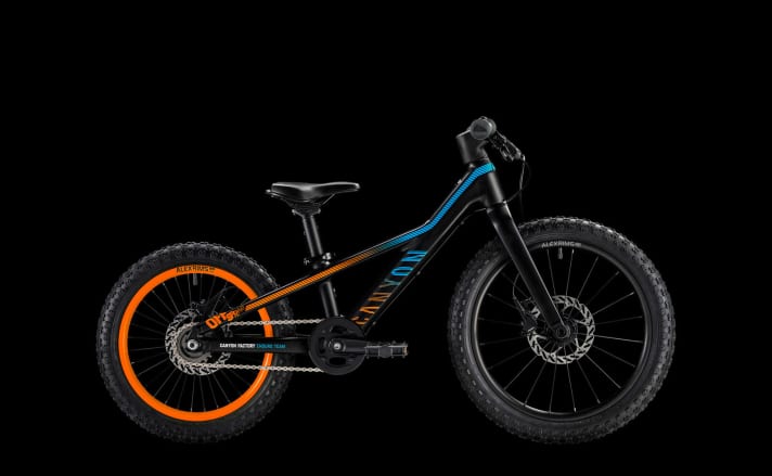 Kinderfahrrad: Die besten Mountainbikes für den Nachwuchs | BIKE
