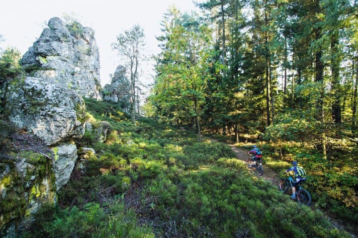   Bayerischer Wald