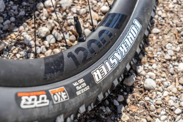   DT Swiss Carbon-Laufräder und Maxxis Forekaster-Reifen verleihen dem Izzo einen direkten Antritt und Ausdauer auf langen Touren.