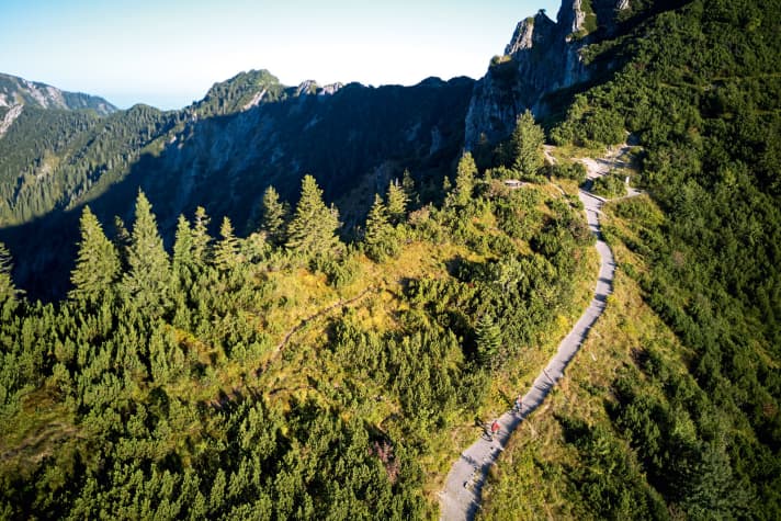   Seichte Trails und Forstwege, oder knackige Trail-Abschnitte: Am Herzogstand können E-Mountainbiker aus zwei Abfahrtsvarianten wählen. 