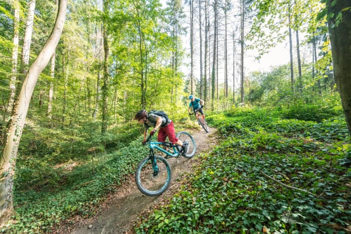   Die Trails im Meeswald wurden den tschechischen Trailcentern nachempfunden, die zu den besten der Welt zählen.