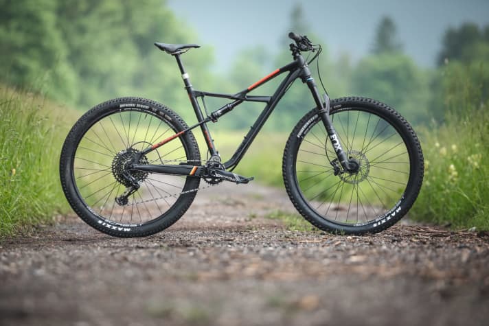   SILVERBACK Stratos AL 1 – 14,1 kg / 123/103 mm / 29" / 2631 Euro