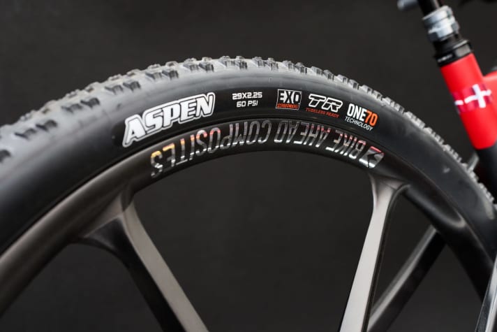   Wie auch im Worldcup kommen die leichten Biturbo-RS-Laufräder mit 2,25 Zoll breiten Maxxis-Aspen-Reifen zum Einsatz – hier am Bike von Annes dänischer Team-Kollegin Caroline Bohé. Für einen besseren Pannenschutz vertraut Anne zusätzlich auf Reifen-Inserts von PTN.