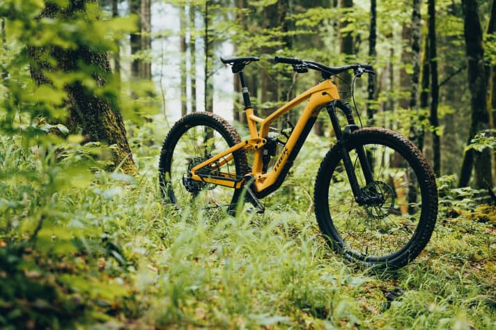 Fährt fast von allein: das Trek Fuel EXe in freier Wildbahn.