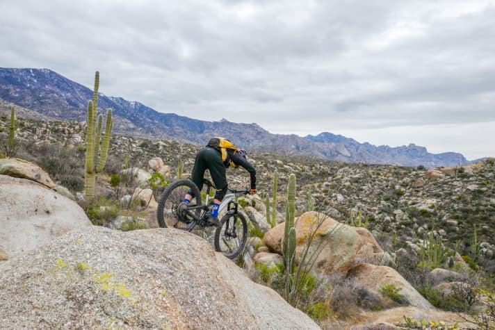 Beste Aussicht und ein perfekt modellierter Trail: Die MTB-Loops rund um Tucson eignen sich für kurze Spritztouren oder tagfüllendes Biken.