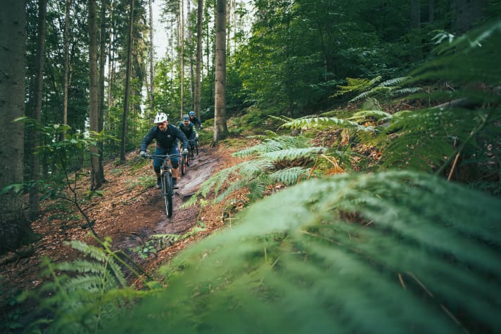 “Wir wollen weder Mountainbiker noch Reiter aus dem Wald vertreiben”, sagt Birte Cordts. “Uns ging es darum, illegale MTB-Trails abseits der Wege zu adressieren”, so Cordts.