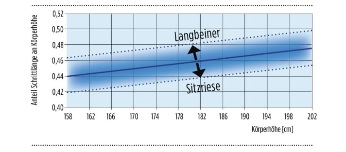 Das Verhältnis von Schrittlänge und Oberkörper kann sehr unterschiedlich sein. Menschen mit langen Beinen benötigen eher einen eher kurzen Rennrad-Rahmen (sogenannte Langbeiner). Sogenannte Sitzriesen (mit langem Rumpf) greifen besser zu einem längeren Rennrad-Rahmen.