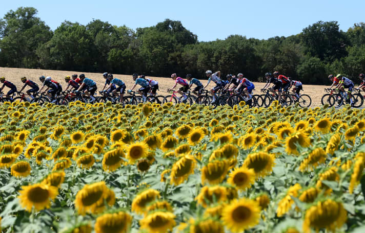 Das Peloton bei der Tour de France