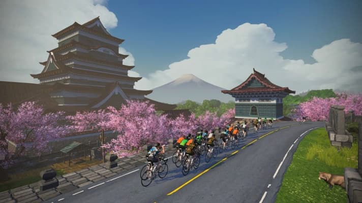 App fürs Indoor Training: Zwift ist die beliebteste Software fürs Rollentraining mit dem Rennrad.
