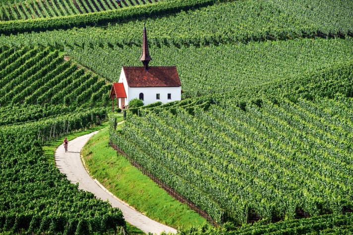   Wärmeinsel: In Deutschlands sonnigster Ecke fühlt sich nicht nur der Wein wohl.