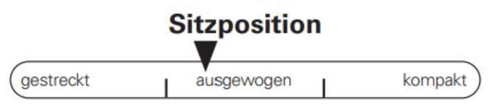Die Sitzposition des Canyon Spectral kommt ohne Extreme aus.