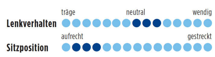   Test 2016 Marathon-Renner: Canyon Endurace CF 9.0