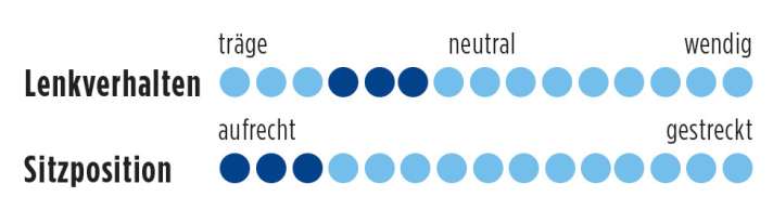   Test 2016 Marathon-Renner: Trek Domane 4.3