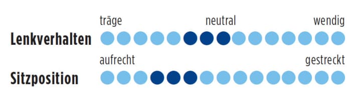   Canyon Endurace CF SLX 9.0