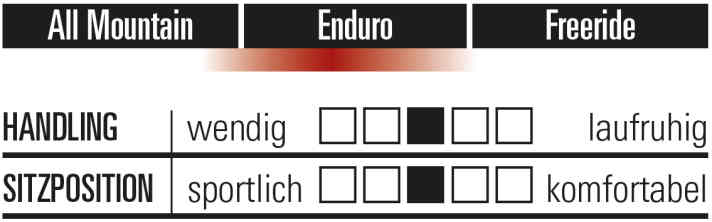   YT Capra 29 Core 2: Charakteristik