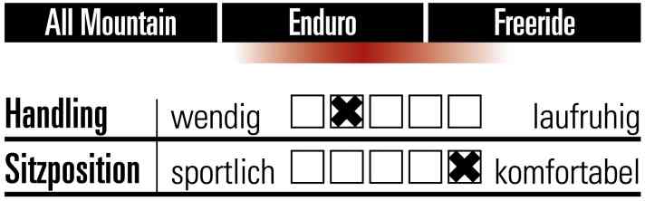 Project Europe Bike Alutech Fanes - Charakteristik   